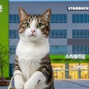 써브웨이 부산연산점 이미지