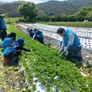 운봉읍 산덕마을 이미지