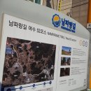 소라초등학교 건너 이미지