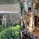 (주)케이지환경 이미지