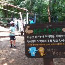 개웅산 유아숲체험원 이미지