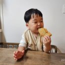 버스정류장_빛가람전망대입구_1 | 나주 혁신도시 붕어빵·호떡 맛집 ‘빛가람호떡’ | 메뉴·가격 솔직후기