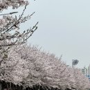 오목교역 4번출구 이미지