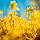 양양군문화복지회관 이미지