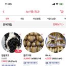 돌곶이시장 이미지