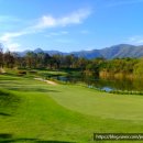 골프드래곤 이미지