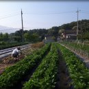 오늘도이모네 이미지