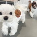 옐레드 부천상동점 이미지