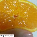 정인농장 이미지