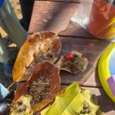 인천환경공단 청라사업소 이미지