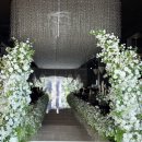 진사이언스 | 부산 센텀사이언스파크 웨딩홀 하객 후기 총정리 (더라움홀, 더스카이홀, 장단점, 뷔페, ATM)