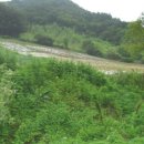 가덕골농원 이미지