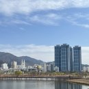 낙동강관리본부 화명생태공원 12 | [부산 화명동] 부산 수선화 / 화명생태공원 / 감동나룻길 리버워크 / 부산 피크닉 / 아이나비 스탬프 투어