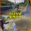 (텃밭/들깨털이) 2024년 들깨 성공적 입니다. 이미지