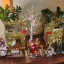 서민대폿집 이미지