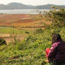 등구농장 이미지