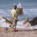 박정자 카카오 검색결과