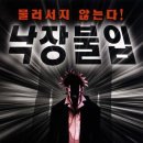 데일리스튜디오 이미지