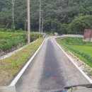 중앙흑염소농장 이미지