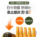 주식회사 감탄주의보 이미지