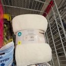 도그럭스 이미지