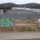 장군만나