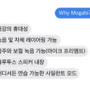 모가비 이미지