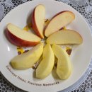 🍎빨간 홍로 꿀사과 [풍기능금이님] 이미지