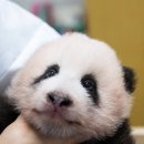 한주(아) 이미지