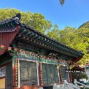 더 스테이 챕터 | [템플스테이/부산사찰] 내돈내산 5월 1박2일 체험형 템플스테이 후기 "부산선암사"