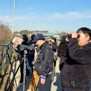 시화호수로3 | 시화호~화성호 농경지 탐조여행 스케치