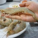태광수산 이미지