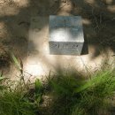 은하수태양광발전소 이미지