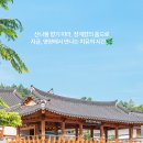 🌿산나물 향기 따라 떠나는 경북 영양 여행(장계향문화체험교육원&amp;영양산나물 먹거리 한마당)