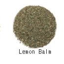 소이메디칼 이미지