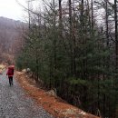 영남목장 이미지