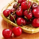 체리 이미지