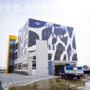 포항수협송도활어회센터 이미지