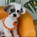 두루몽실 이미지