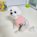 서면지하상가 이미지