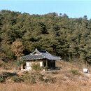 만우정 이미지