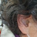 시그니아독일보청기대구북구센터 이미지