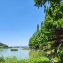 현창농장 이미지