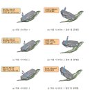 천일용역경주 | '5cm의 기적' 경주 남산 마애불 다시 세울 수 있을까