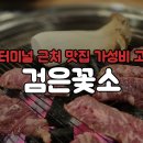 검은꽃소 이미지