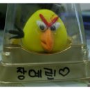 버드들 이미지