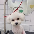 위드스테이부산 이미지