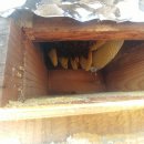 내검농장 이미지