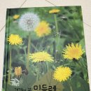 야호어린이집 주변 이미지