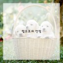 우리수지산업 이미지